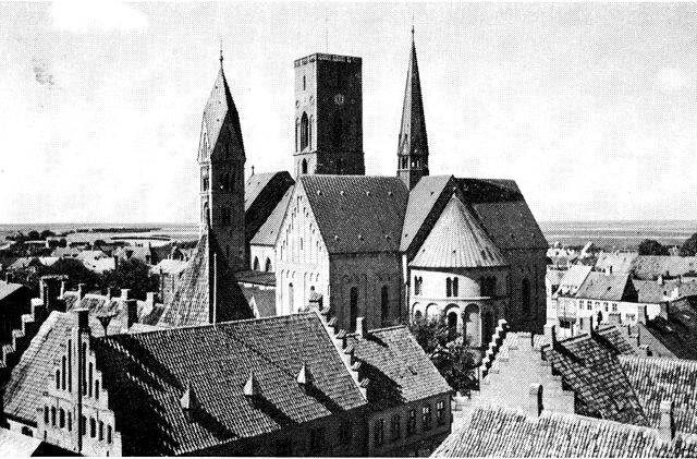 (Foto). Ribe domkirke set over byens tage (i forgrunden t. v. rådhuset) fra sydøst (fra vandtårnet). I baggrunden de flade enge ud mod havet.