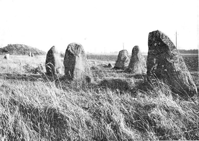 (Foto). Bækkemonumentet. Til højre runestenen i skibssætningens stævn, i baggrunden til venstre højen, der danner skibssætningens afslutning.