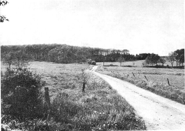 (Foto). Egeskov i nærheden af Agerskov.