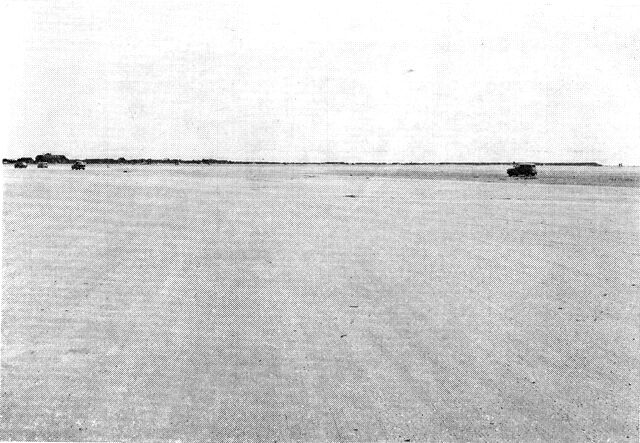 (Foto). Udsigt over en del af den kilometerbrede strandflade på Rømøs vestkyst. I baggrunden skimtes klitrækken (med sommerhusbebyggelse til venstre).