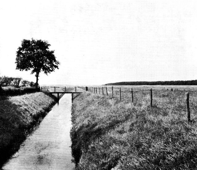 (Foto). Parti af Tinglev-fladen (med nåletræsplantage) ved den dansk-tyske grænse syd for Rens.