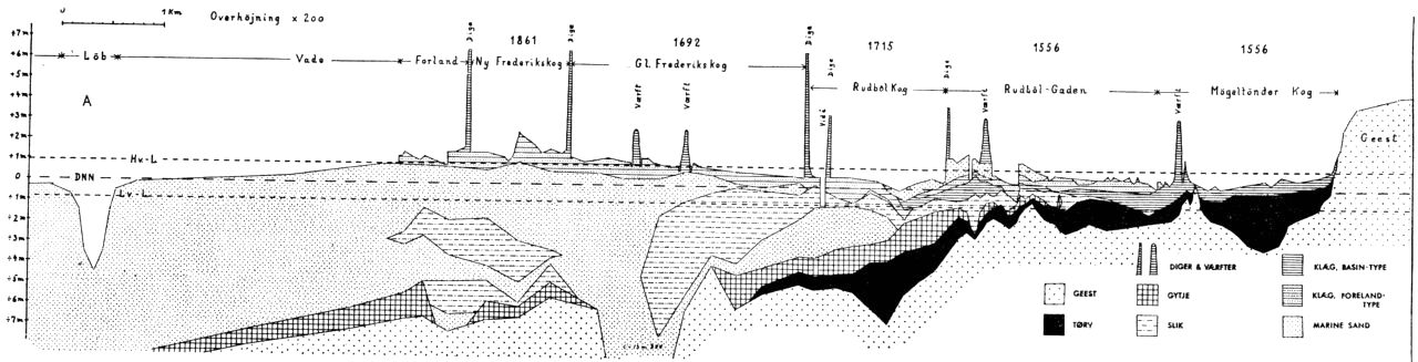 (Kort). Skematisk profilsnit gennem Tøndermarsken. Højdemål ca. 200 gange forstørret. Snittets længde ca. 13 km. Hv.-L. = daglig højvandes niveau. D.N.N. = Dansk Normal Nul. Lv.-L. = daglig lavvandes niveau. Snittet gennemskærer vade, forland, yngre og ældre koge samt diger og værfter. De gamle koge ligger lavest, nemlig indtil 1 m under daglig højvande. Ny Frederiks- og en del af Gl. Frederikskog ligger stort set over daglig højvande. Under Gl. Frederikskog findes en gammel, mere end 13 m dyb tidevandsrende, der nu er sandfyldt. Underlaget udgøres overalt af en gestflade. På denne hviler tørv, gytje, sand og klæg. Sidstnævnte danner den nuværende overflade. De ydre områder er stabile, medens de indre sænker sig på grund af sætning i de bløde tørve- og gytjelag (se i øvrigt teksten side 423).