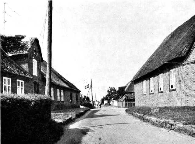 (Foto). Grænsen ved Rudbøl set mod nord fra den tyske grænsebom i Rosenkrans. Husene til venstre ligger i Danmark, husene til højre i Tyskland. Ved flaget det danske toldsted.