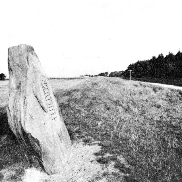 (Foto). Hovslund-stenen med runeindskriften »Hærulv« ved hærvejen i nærheden af Hovslund.