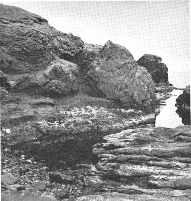 (Foto). Parti fra nordsiden af Hvannhagi på Suðuroy. I forgrunden tuf-agglomerat, i baggrunden intrusiv basalt.