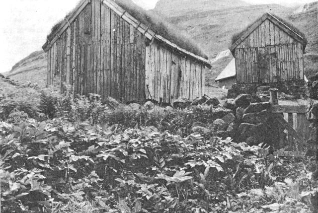 (Foto). Gammel kvangård ved Dúvugarður i Saksun (Streymoy).