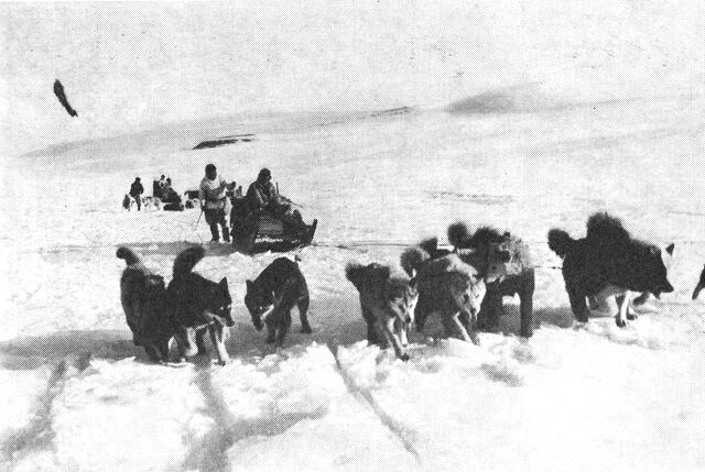 (Foto). På vej op på Indlandsisen i Nord-G., hvor hundeslæden stadig er et vigtigt befordringsmiddel på mindre ekspeditioner i randzonen. (F.: B. Fristrup).