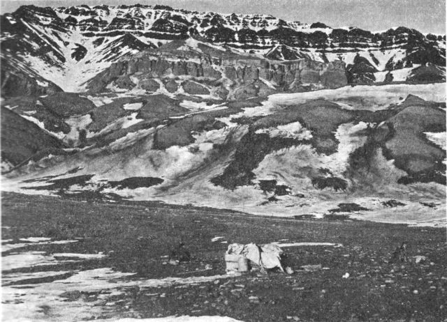 (Foto). Permlag (nederst i forgrunden) overlejret af trias (de lyse lag) med tertiær basalt øverst. Fiskeplateauet, Hold with Hopes nordkyst, Nordøst-G. (F.: Eigil Nielsen).