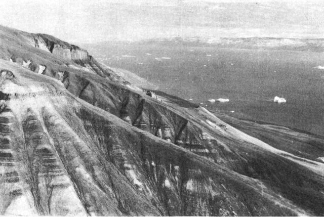 (Foto). Sandsten med sorte skifre og kullag fra kridttiden. Pautût, Nûgssuaq, Vest-G. (F.: Kr. Skou).