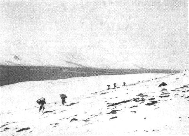 (Foto). Geologer på vej ud gennem Auvfarssuaq-dalen, Nûgssuaq, sept. 1949 med sten på ryggen - overrasket af snestorm. Sneen når endnu ikke ned i dalen t.v. (F.: A. Rosenkrantz).