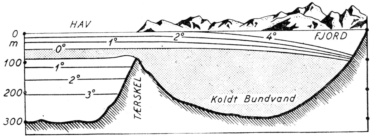 (Kort). Temperaturfordeling i fjord med tærskel i mundingen. Denne spærrer det varme vand fra Irmingerstrømmen ude med negativ indflydelse på produktionen til følge. (Efter F. Hermann 1953).