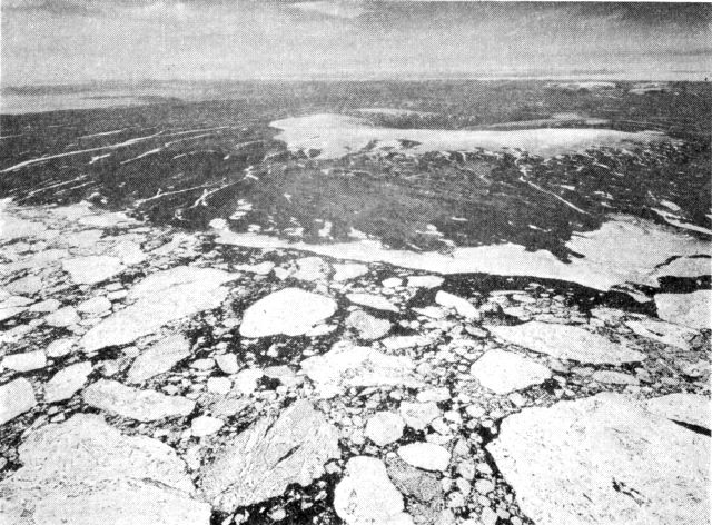 (Foto). Spredt drivis udfor Germanialand 15/8 1950 fotograferet fra 4000 m’s højde. De store flager er ca. 20 km2 store. Fastisen ligger endnu ubrudt langs en del af kysten. På land en isoleret forekomst af indlandsis. (Eneret Geodætisk Institut).