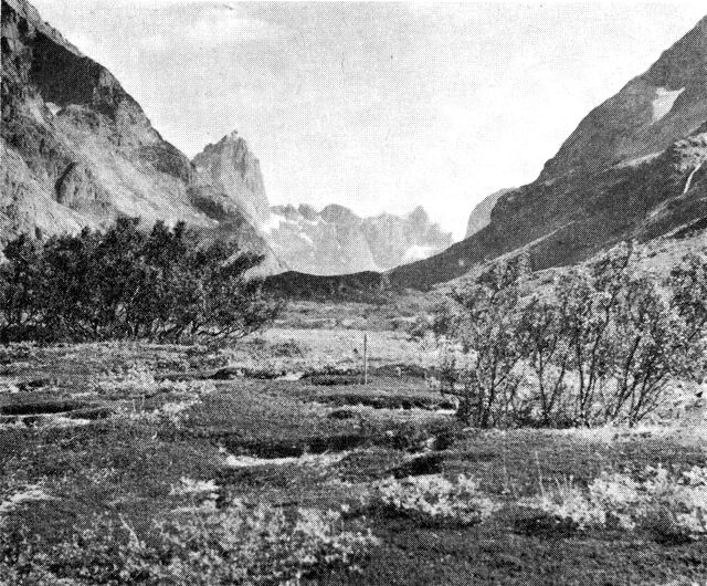 (Foto). Den fredede Qíngua dal ved Tasermiut i Sydgrønland. Hedevegetation med spredte pilebuske og to krat af dunbirk. (F.: C. A. Jørgensen).