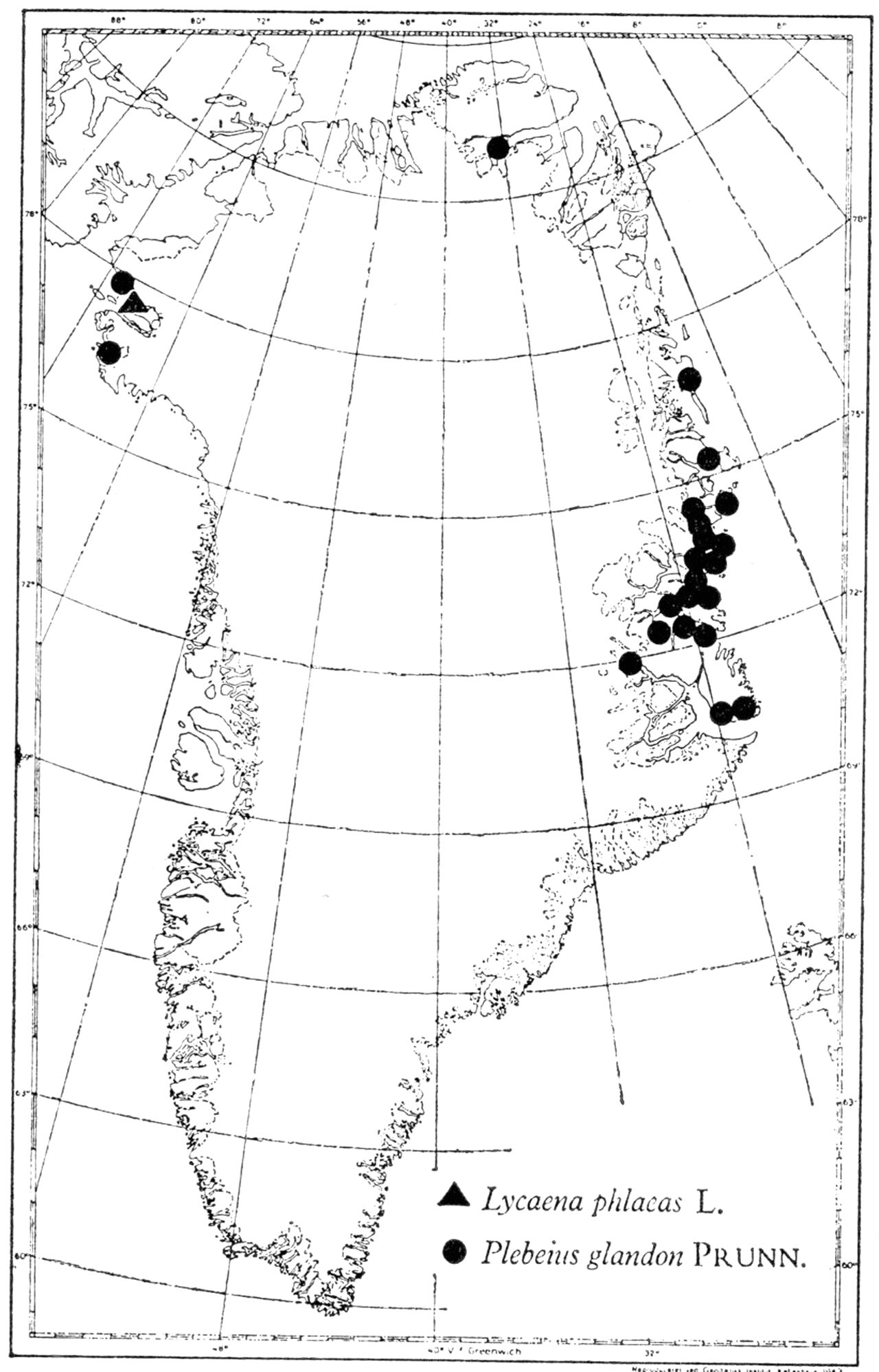 (Kort). To dagsommerfugle med udpræget nordlig (højarktisk) udbredelse i G., tilsvarende fx. moskusokse, kongeederfugl m.fl. (N. L. Wolff).