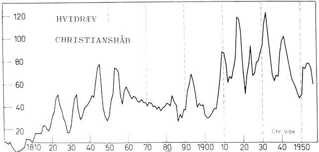 (). Svingningerne i indhandling af hvidræveskind ved Christianshåb 1800-1960 i 3-årige glidende gennemsnit.