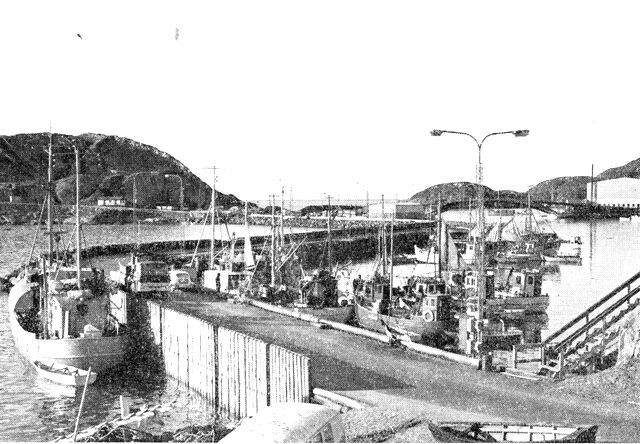 (Foto). Fiskerihavnen i Sukkertoppen. (F.: Chr. Vibe. 1969).