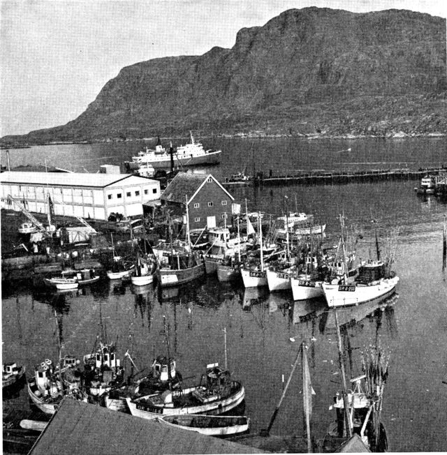 (Foto). Holsteinsborg havn med kystpassagerbåden »Disko«, filetfabrik og fryseri. Laksekutterne er klar til at gå ud på drivgarnsfiskeri langt ude fra kysten. (F.: Chr. Vibe, 1969).