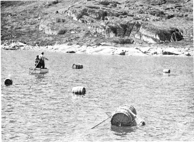 (Foto). Bundgarnsfiskeri i vestgrønlandsk fjord under rolige vejrforhold. (F.: Dora Horsted).