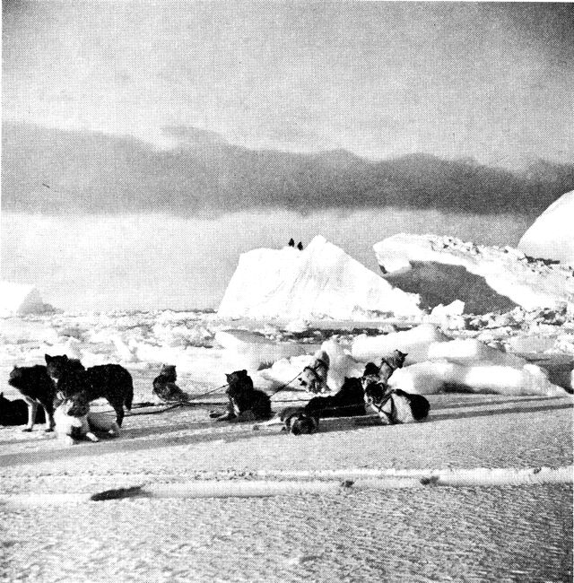 (Foto). På udkig efter strømsteder, hvor sæl og hvalros holder til, Thule distriktet 1940. (F.: Chr. Vibe).