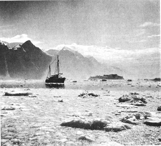 (Foto). Geodætbåden »Ole Rømer« på vej ind gennem nordvestgrønlandsk fjord til sommerens opmålingsfelt. (F.: B. Fristrup).