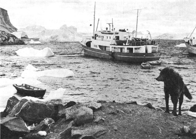 (Foto). Røntgenbåden »Misigssut« i Umanak havn. (F.: H. C. Christiansen).