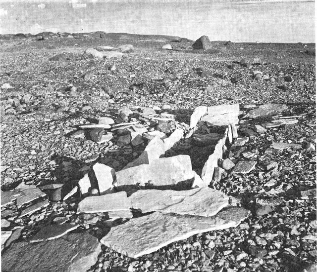 (Foto). Independence II ruin fra Kap Holbæk, gruppe 3, bunden af Danmark Fjord. (F.: Eigil Knuth 1954).