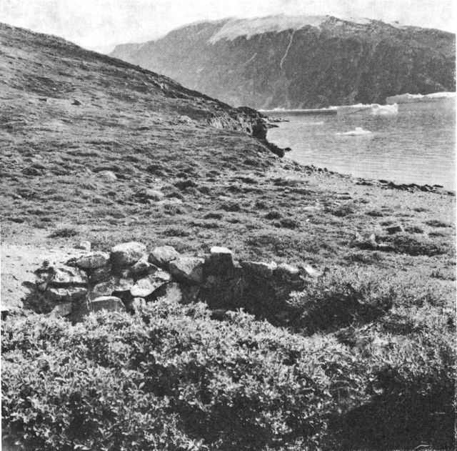 (Foto). Husruin i Harefjord, Scoresby Sund, engang beboet af Inugsuk folkene, der uddøde i Nordøstgrønland i årene efter 1823. (F.: Chr. Vibe, 1964).