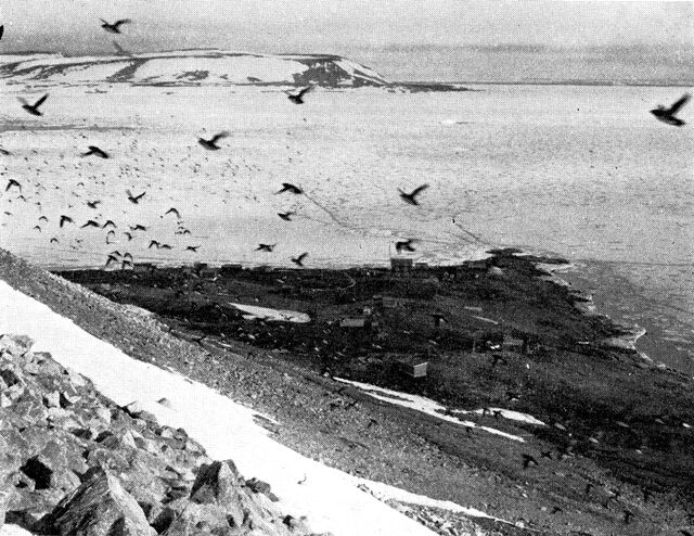 (Foto). Udsigt fra søkongefjeldet ned over Savigsivik (F.: Joh. Petersen).